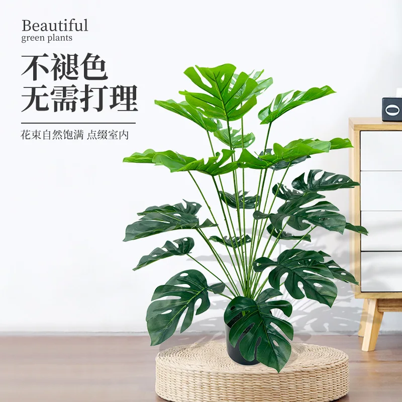 실물 같은 인조 거북잎 분재 화분, 가정 사무실 책상  - Bonsai Garden Desk 리뷰 및 가격