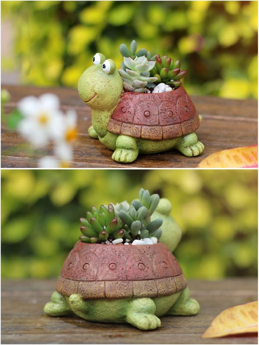 귀여운 거북이 화분 다육 분재 선인장 식물 화분, 여아 - Bonsai Garden Desk 리뷰 및 가격