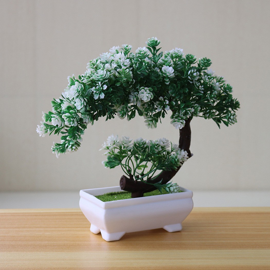 실내 정원 스타일 장식용 플라스틱 화분 분재 장식품은  - Bonsai Garden Indoor 리뷰 및 가격