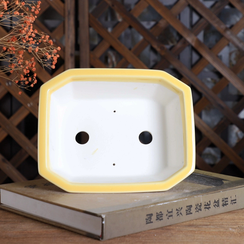 도자기 직사각형 분재 냄비, 중국 전통 패턴, 방, 가 - Bonsai Garden Desk 리뷰 및 가격